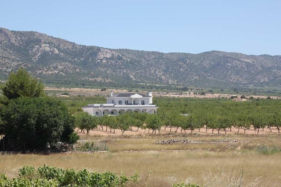 Huvila Pinoso, Alicante, Espanja 4 makuuhuonetta, 245 m2 No. 95007