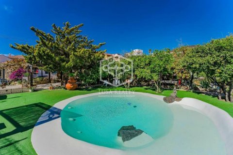 Commercial property for sale San Miguel de Abona, Tenerife, Spain 6 bedrooms, 553 sq.m. No. 111094 - photo 10