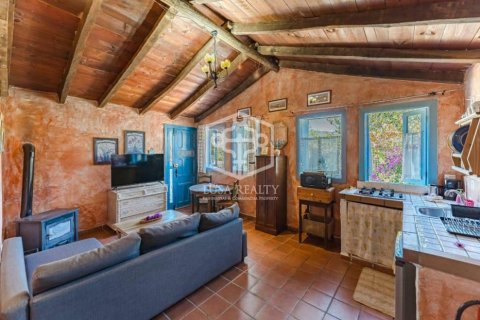 Commercial property for sale San Miguel de Abona, Tenerife, Spain 6 bedrooms, 553 sq.m. No. 111094 - photo 14