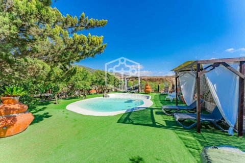 Commercial property for sale San Miguel de Abona, Tenerife, Spain 6 bedrooms, 553 sq.m. No. 111094 - photo 11
