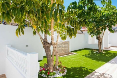 Villa à vendre Adeje, Tenerife, Espagne, 6 chambres, 350 m2 No. 111104 - photo 30