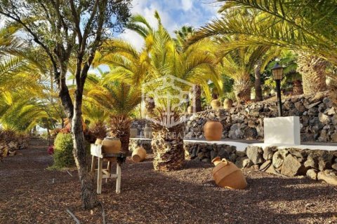 Villa till salu i Guia de Isora, Tenerife, Spanien 9 sovrum, 380 kvm. Nr. 94488 - foto 11