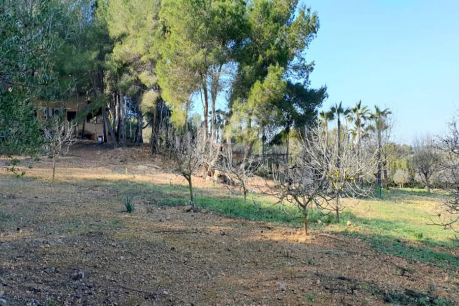 Villa en Cala Vinyes, Mallorca, España 6 dormitorios, 460 m2 No. 94531