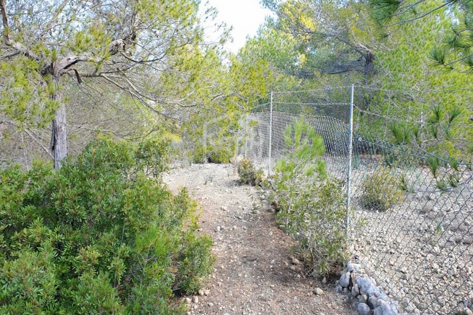 Villa en Cala Vinyes, Mallorca, España 6 dormitorios, 460 m2 No. 94531