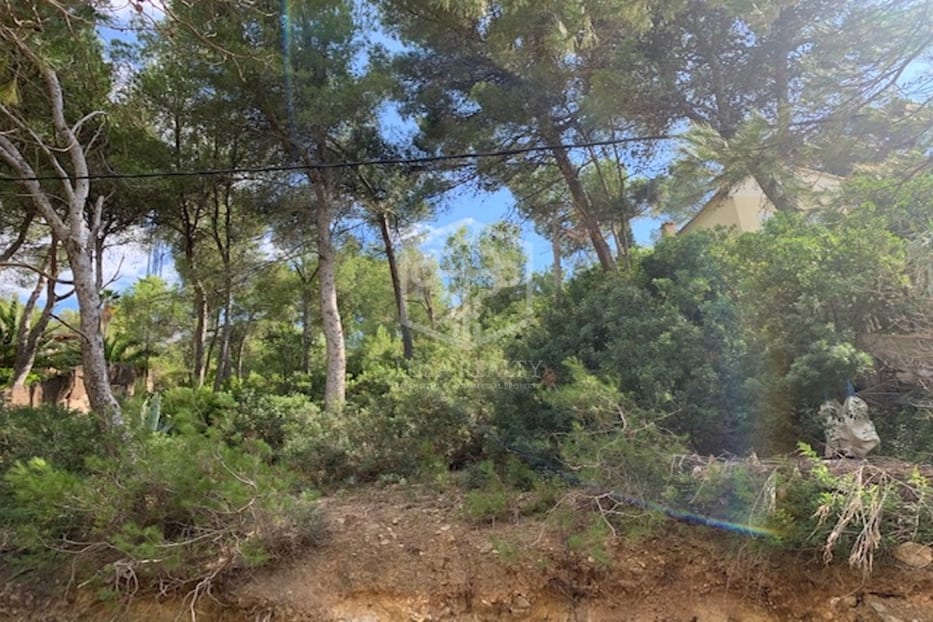 Land plot à Calvia, Mallorca, Espagne No. 94529