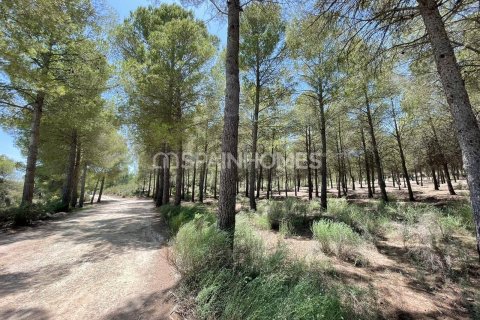 Villa till salu i Calasparra, Murcia, Spanien 2 sovrum, 77 kvm. Nr. 99469 - foto 19