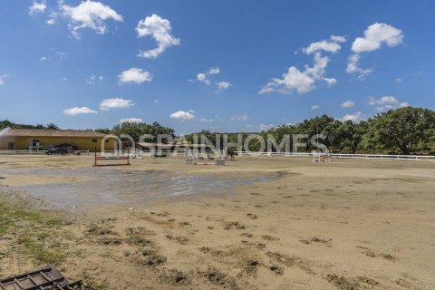 Lägenhet till salu San Roque, Cadiz, Spanien 3 sovrum, 116 kvm. Nr. 48992 - foto 16