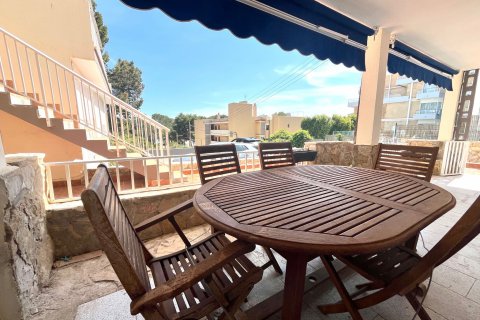 Dzīvoklis īrēšanai Palmanova, Mallorca, Spānijā 1 istaba, 84 m2 Nr. 102000 - attēls 9