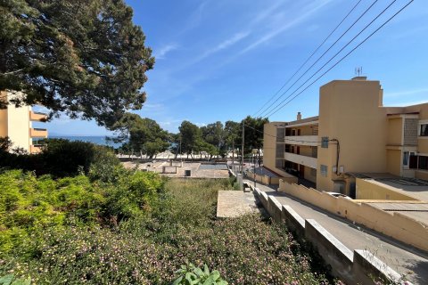 Dzīvoklis īrēšanai Palmanova, Mallorca, Spānijā 1 istaba, 84 m2 Nr. 102000 - attēls 13