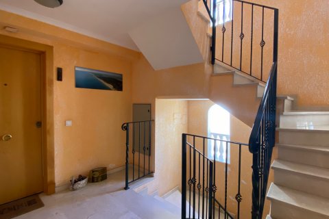 Apartment for sale Guardamar del Segura, Alicante, Spain 4 bedrooms, 83 sq.m. No. 118717 - photo 6