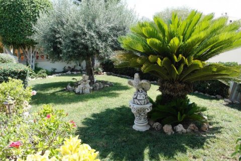 Villa zum Verkauf Torrevieja, Alicante, Spanien 4 Schlafzimmer, 400 m2 Nr. 118720 - Foto 5