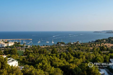 Willa w Costa D'en Blanes, Mallorca, Hiszpania 4 sypialnie, 400 mkw. nr 32773 – zdjęcie 22