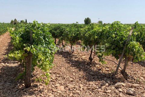 Villa in vendita Yecla, Murcia, Spagna 5 camere da letto, 300 mq. N° 53351 - foto 18