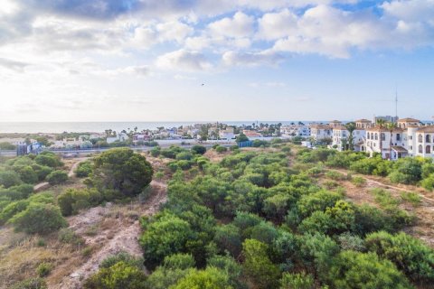 Apartament Playa Flamenca II, Alicante, Hiszpania 2 sypialnie, 78 mkw. nr 114601 – zdjęcie 14