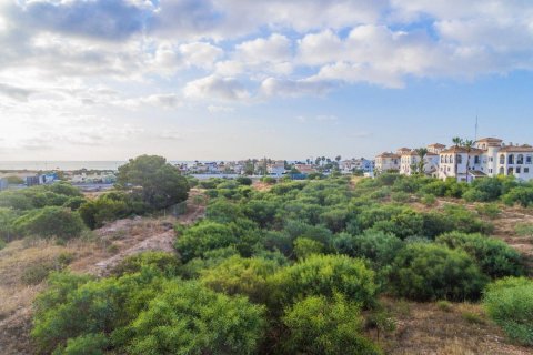 Apartament Playa Flamenca II, Alicante, Hiszpania 2 sypialnie, 78 mkw. nr 114601 – zdjęcie 13