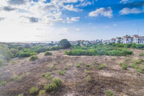 Apartament Playa Flamenca II, Alicante, Hiszpania 2 sypialnie, 78 mkw. nr 114601 – zdjęcie 17