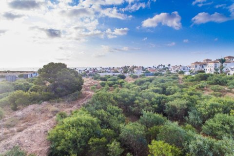 Apartament Playa Flamenca II, Alicante, Hiszpania 2 sypialnie, 78 mkw. nr 114601 – zdjęcie 16