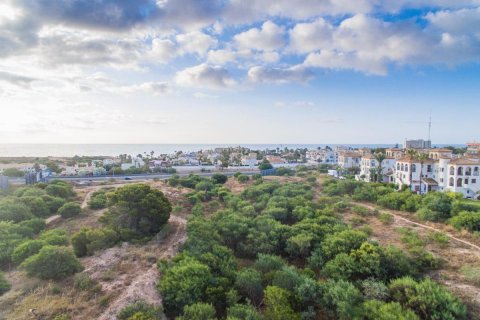 Apartament Playa Flamenca II, Alicante, Hiszpania 2 sypialnie, 78 mkw. nr 114601 – zdjęcie 15