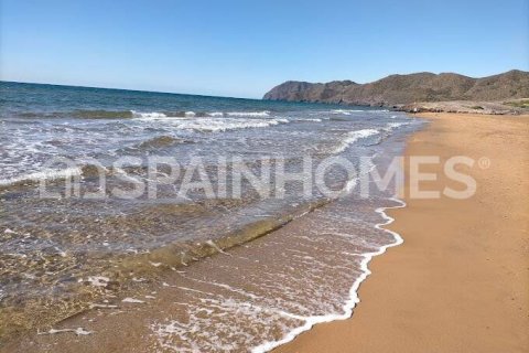 Lägenhet till salu i Cartagena, Murcia, Spanien 3 sovrum, 119 kvm. Nr. 57916 - foto 25