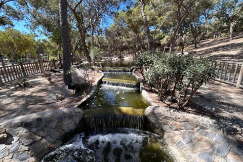 Dzīvoklis pārdošanā Guardamar del Segura, Alicante, Spānijā 2 istabas, 73 m2 Nr. 95938 - attēls 16