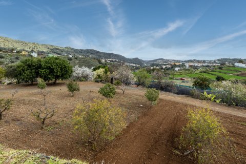 Villa in vendita Santa Brigida, Gran Canaria, Spagna 5 camere da letto, 1.06 mq. N° 113428 - foto 22