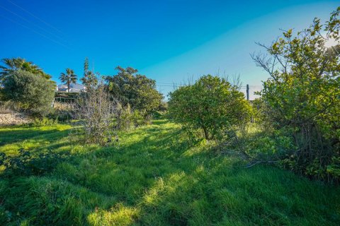 Land plot à vendre Javea, Alicante, EspagneNo. 93144 - photo 5