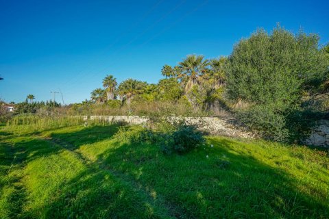 Land plot à vendre Javea, Alicante, EspagneNo. 93144 - photo 1