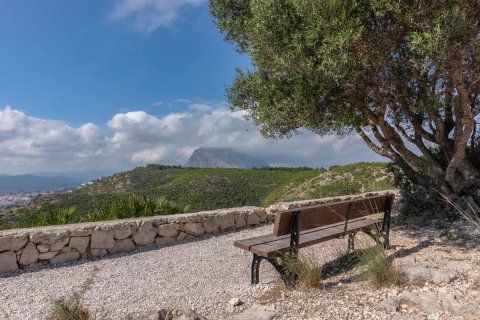 Land plot à vendre Javea, Alicante, EspagneNo. 93144 - photo 12