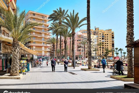 Dzīvoklis pārdošanā Torrevieja, Alicante, Spānijā 2 istabas, 86 m2 Nr. 116199 - attēls 30