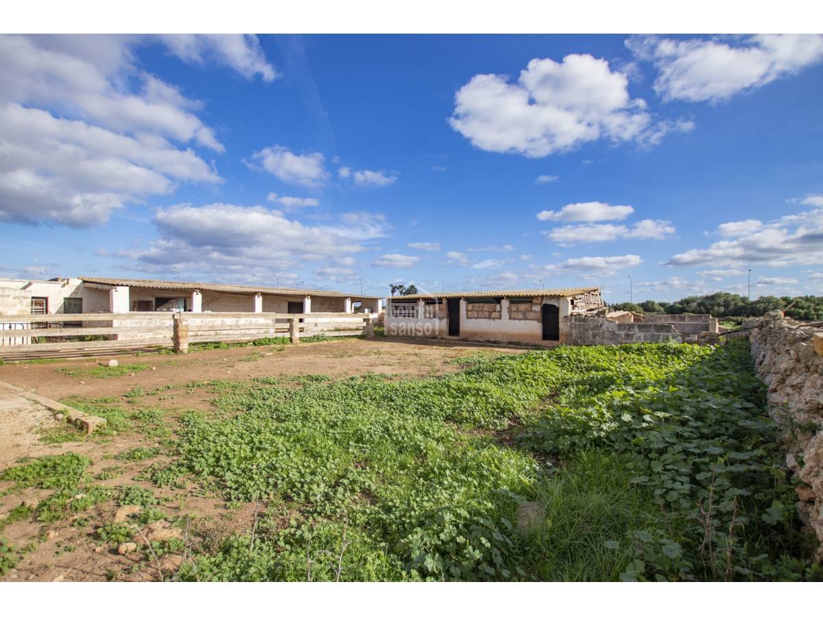Hus i Ciutadella De Menorca, Menorca, Spanien 3 sovrum, 593 kvm. Nr. 90911