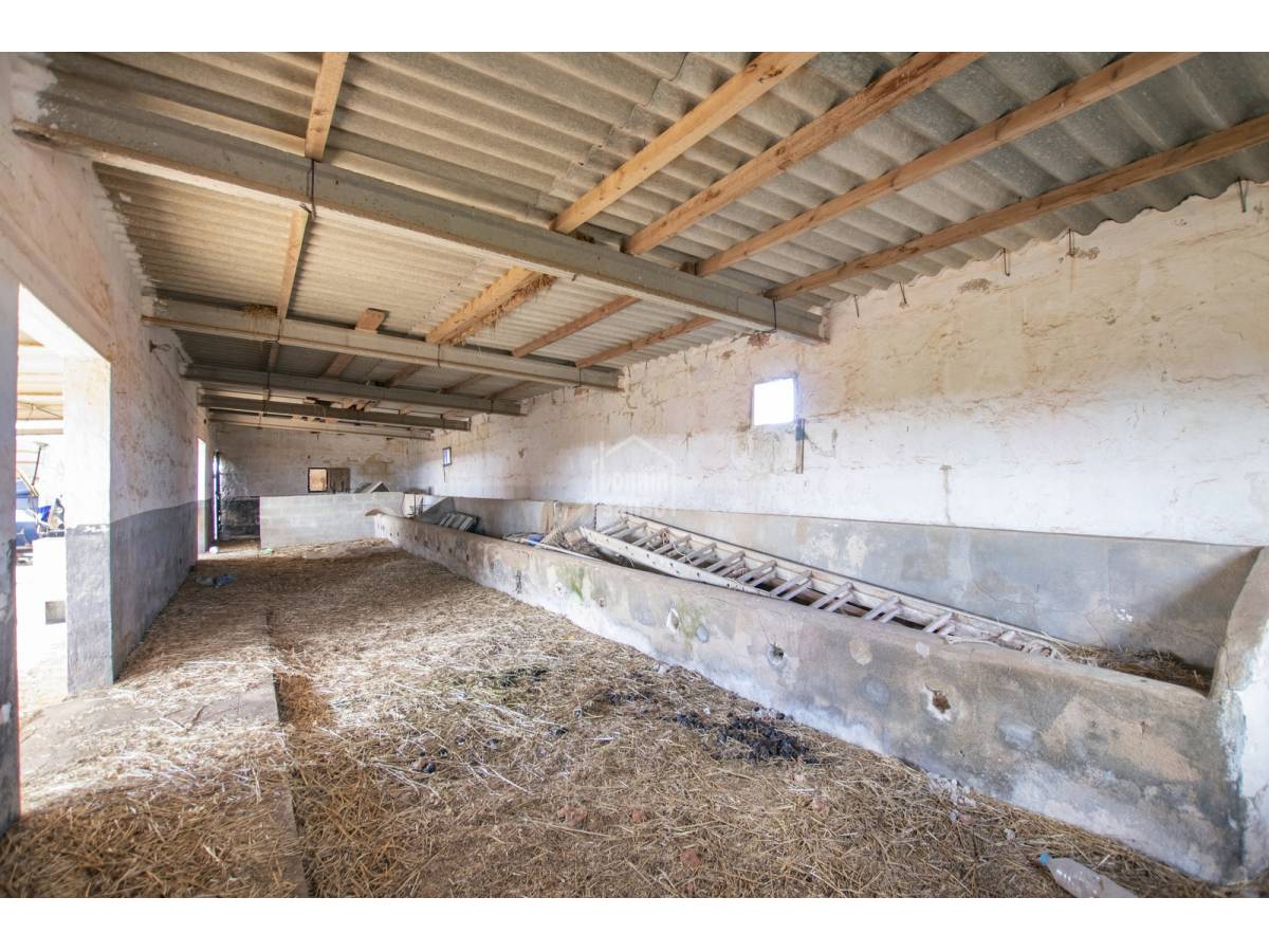 Hus i Ciutadella De Menorca, Menorca, Spanien 3 sovrum, 593 kvm. Nr. 90911