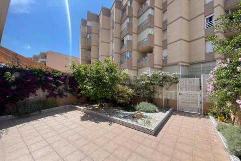 Продажа дома в Гуардамар-дель-Сегура, Аликанте, Испания 4 спальни, 197м2 №113105 - фото 4