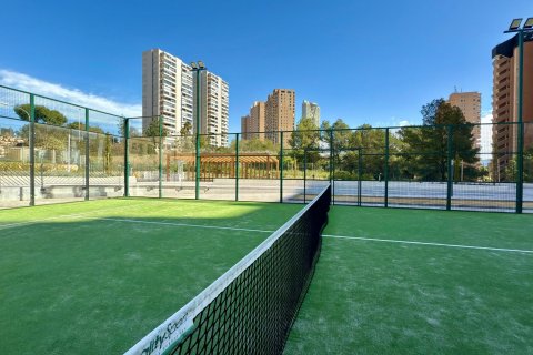 Apartment for rent Benidorm, Alicante, Spain 2 bedrooms, 92 sq.m. No. 113539 - photo 13