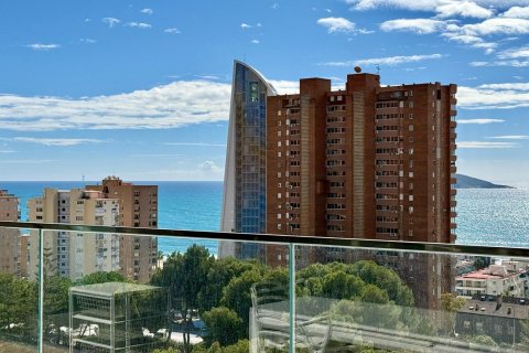 Apartment for rent Benidorm, Alicante, Spain 2 bedrooms, 92 sq.m. No. 113539 - photo 28