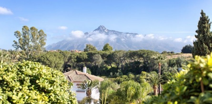 Appartamento Nueva Andalucia, Malaga, Spagna 2 camere da letto, 128 mq. N° 21716