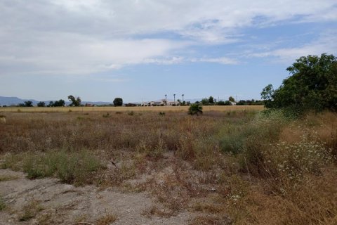 Land plot for sale San Fulgencio, Alicante, Spain 11900 sq.m. No. 112932 - photo 5