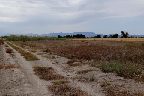 Land plot for sale San Fulgencio, Alicante, Spain 11900 sq.m. No. 112932 - photo 6