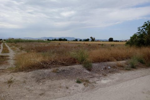 Land plot for sale San Fulgencio, Alicante, Spain 11900 sq.m. No. 112932 - photo 2