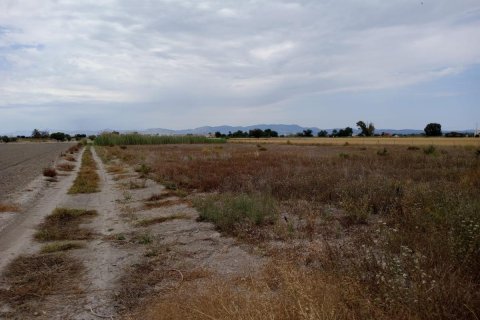 Land plot for sale San Fulgencio, Alicante, Spain 11900 sq.m. No. 112932 - photo 7