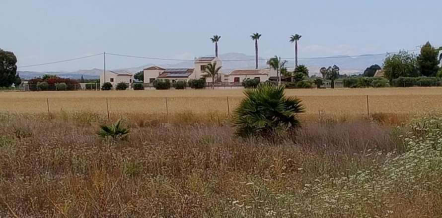 Land plot San Fulgencio, Alicante, Spain 11900 sq.m. No. 112932