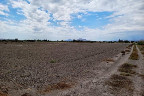 Land plot for sale San Fulgencio, Alicante, Spain 11900 sq.m. No. 112932 - photo 4