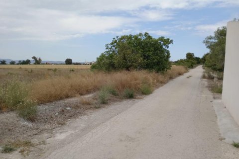 Land plot for sale San Fulgencio, Alicante, Spain 11900 sq.m. No. 112932 - photo 3