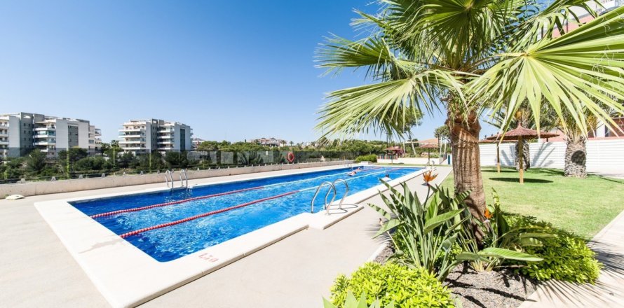 Квартира Аликанте, Испания 3 спальни, 87м2 №115227
