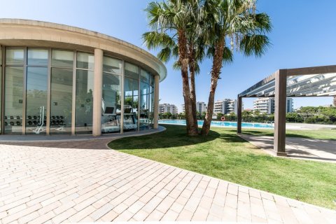 Продажа квартиры Аликанте, Испания 3 спальни, 87м2 №115227 - фото 6