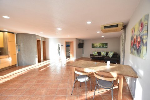 Villa for sale La Zenia, Alicante, Spain 4 bedrooms, 240 sq.m. No. 115229 - photo 17