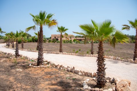 Finca myytävänä Llucmajor, Mallorca, Espanja, 5 makuuhuonetta, 450 m2 No. 117449 - kuva 21