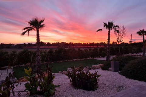 Finca myytävänä Llucmajor, Mallorca, Espanja, 5 makuuhuonetta, 450 m2 No. 117449 - kuva 15