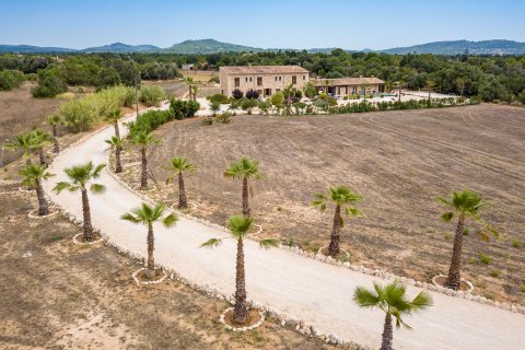 Finca myytävänä Llucmajor, Mallorca, Espanja, 5 makuuhuonetta, 450 m2 No. 117449 - kuva 20