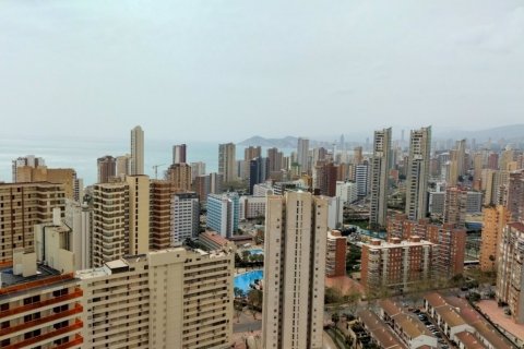 Продажа квартиры в Бенидорм, Аликанте, Испания 3 спальни, 160м2 №119385 - фото 30