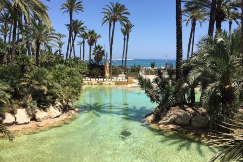 Penthouse Santa Pola, Alicante, Hiszpania 3 sypialnie, 174 mkw. nr 110067 – zdjęcie 4